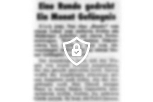 Eine Runde gedreht - Ein Monat Gefängnis