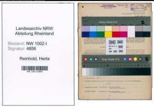 Entnazifizierung Herta Reinhold, geb. 10.03.1920 (Kontoristin)