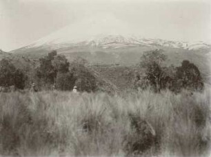 Cotopaxi aus West, vom Cotopaxilager (3700 m)