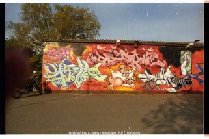 DAiSYoNE | "CiMone" DAt ZoAR