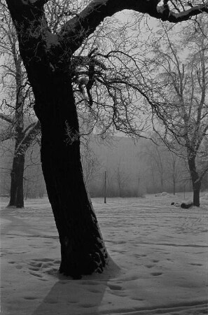 Verschneiter Park, im Hintergrund Gebäude