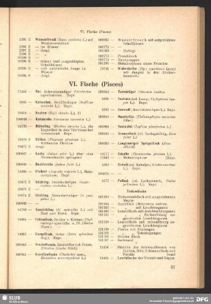 VI. Fische (Pisces)
