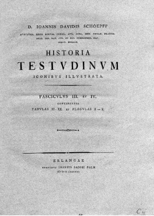 Tab. XI. et Tab. XII. fig. I. Testudo Marginata.