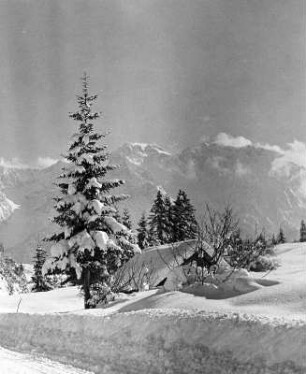 Neuschnee