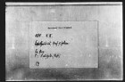 Eitel Friedrich, Graf von Zollern, königlicher Kämmerer, quittiert der Stadt Reutlingen 100 fl. an ihrer am letzten St. Martins Tag fälligen Stadtsteuer.