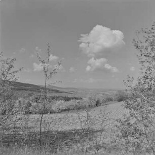 Frühling bei Mehltheuer : Landschaft bei Mehltheuer