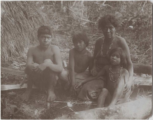 Kainguá family