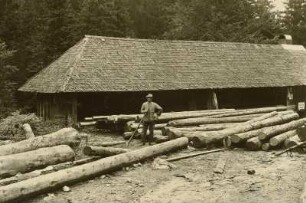 Simonswald-Untersimonswald. Sägewerk am Notschrei. Ansicht mit lagernden Baumstämmen