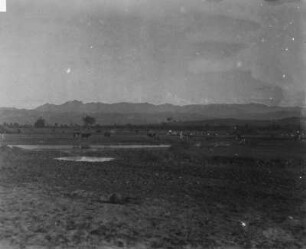 Landschaft bei Ordu : Blick über eine Ebene Landschaft mit Rindern. Im Hintergrund Berge