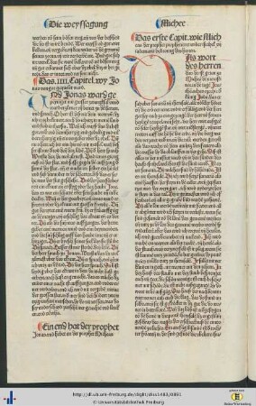 Der prophet Micheas