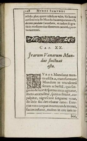 Cap. XX. Jrarum Vanarum Mundus fluctuat æstu.