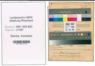 Entnazifizierung Anneliese Steinke , geb. 09.08.1922 (Hausgehilfin)