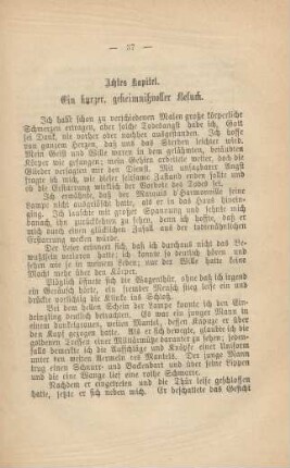 Achtes Kapitel. Ein kurzer, geheimnißvoller Besuch