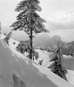 Winter in den Bergen