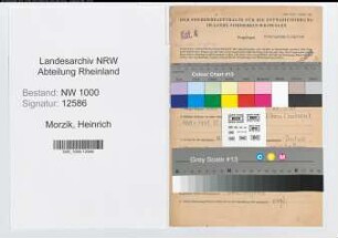 Entnazifizierung Heinrich Morzik, geb. 28.10.1894 ()