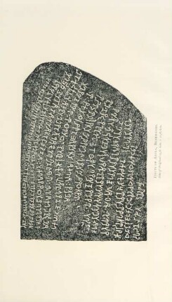 Edicts of A´soka, Brahmagiri