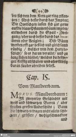 Cap. 15. Vom Maulbeerbaum