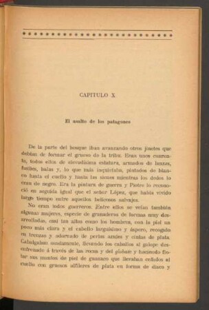 Capítulo X - El asalto de los patagones