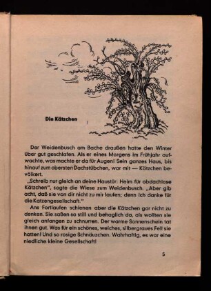 Die Kätzchen