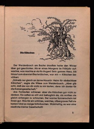 Die Kätzchen