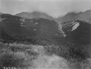 Bergvegetation : Berghänge mit Buschvegetation