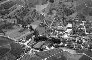 Durbach: Winzergenossenschaft