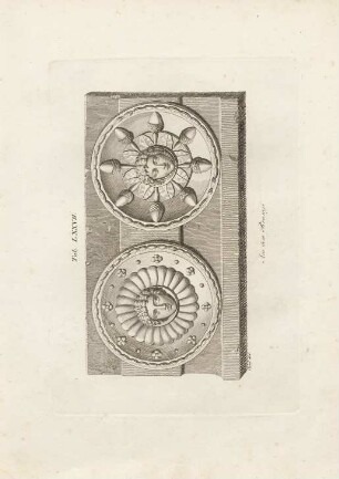 Tab. LXXVII.