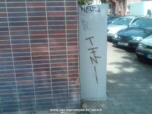 NeTZ