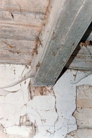 Hörn 23: Hofanlage: Fachwerkdurchfahrtshaus von 1753: in Verfall: Innenansicht, Detailaufnahme: Deckenbalken, darüber Bretterlage