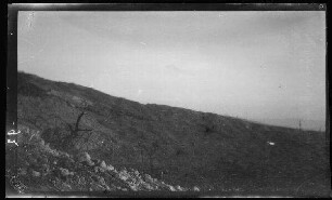 Vauquois-Stellung (Berg bei Vauquois, Dep. Meuse, Frankreich): "Osthang des Vauquois", im Vordergrund eine Senke und Stacheldraht