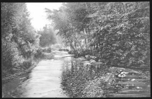 Walla Walla. Scene on Mill Creek, Walla Walla, Wash.