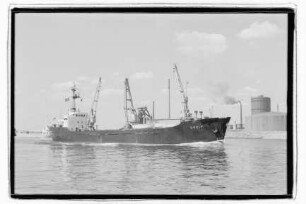 Greif (1963)