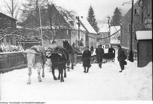 Erzgebirge. Wintersportmeisterschaften: Langlauf, Volkssport, im Erzgebirge im Beisein von Ministerpräsident Max Seydewitz, 1950
