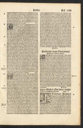 Liber Hester: Qui inter hagiographa a divo Hieronymo ponitur.