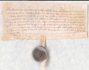 Dietrich von Kleve belehnt Otto von Holthausen mit dem Hof Endehof zu Flüren bei Wesel. Datum 1343 dominica post octavas Phlippi et Jacobi apostolorum. Siegel angehängt.