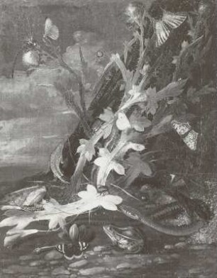 Sartory, J. M. : Stilleben. Blattpflanzen mit verschiedenen Tieren. Öl auf Leinwand; 49 x 38,5 cm, bezeichnet und datiert 1714. Privatbesitz