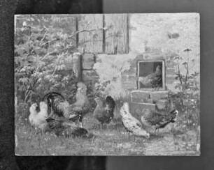 Hahn und Hühner vor dem Stallgebäude