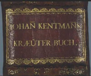 Bucheinband