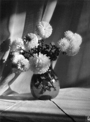 Chrysanthemen in Vasen. Ansicht in Rauchglasvase