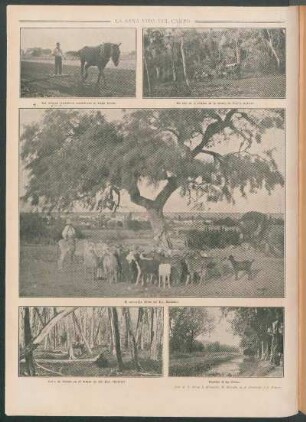 La sana vida del campo [Fotografías]