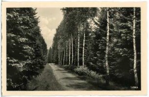 Hetzdorf. Waldweg