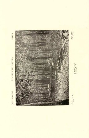 Plate M*. North-central province. Ritigala ruins. Building No. 40.