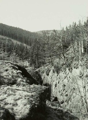 Osterzgebirge, Bergbaurevier Niederpöbel-Sadisdorf, Mittlerer Löwe Fundgrube Tagebau am linken Hang des Saubachtales