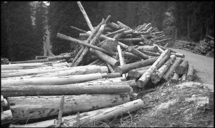 Valser Tal: Haufen von gefällten Baumstämmen