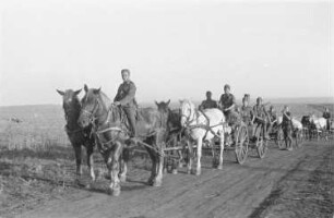 Zweiter Weltkrieg. Frontbilder. Sowjetunion. Troß der deutschen Wehrmacht mit Reiter und Pferdefuhrwerken