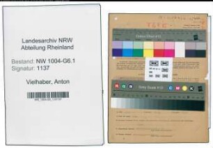 Entnazifizierung Anton Vielhaber , geb. 06.09.1895 (Kaufm.Angestellter)