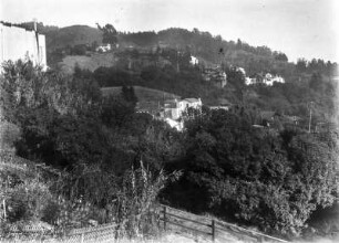 Die Berkeley Hills : Blick von der Euclid Avenue in die besiedelten Berkeley Hills