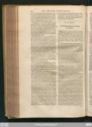 Cap. XVI. De Petri praerogativis ex Evangelio Matthaei.