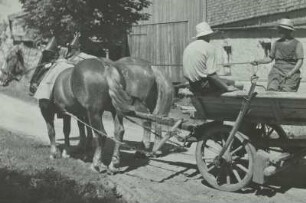 Leiterwagen, mit Kaltblüter im Geschirr