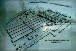 Milchviehanlage DEDELOW